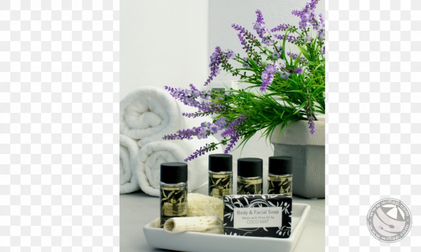 Floral Design Houseplant, PNG, 1000x600px, Floral Design, Flora, Floristry, Flower, Houseplant Download Free