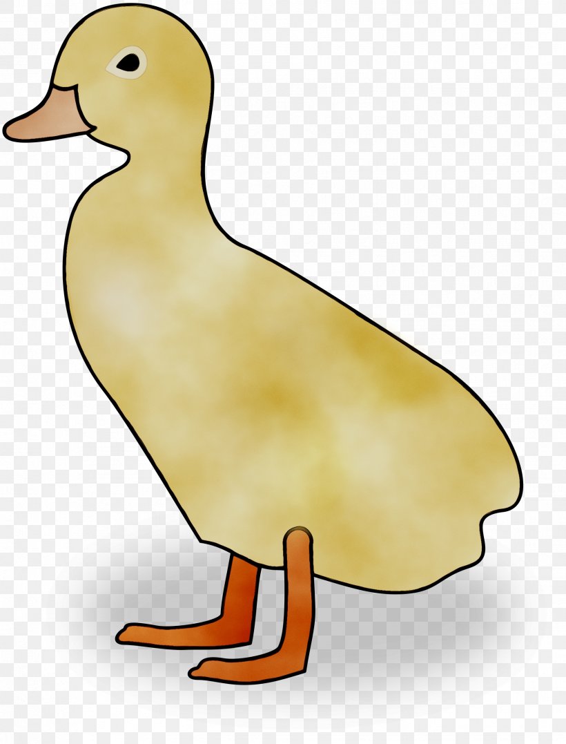Mallard Duck Goose Chicken Fowl, PNG, 1827x2400px, Mallard, American Black Duck, Beak, Bird, Chicken Download Free