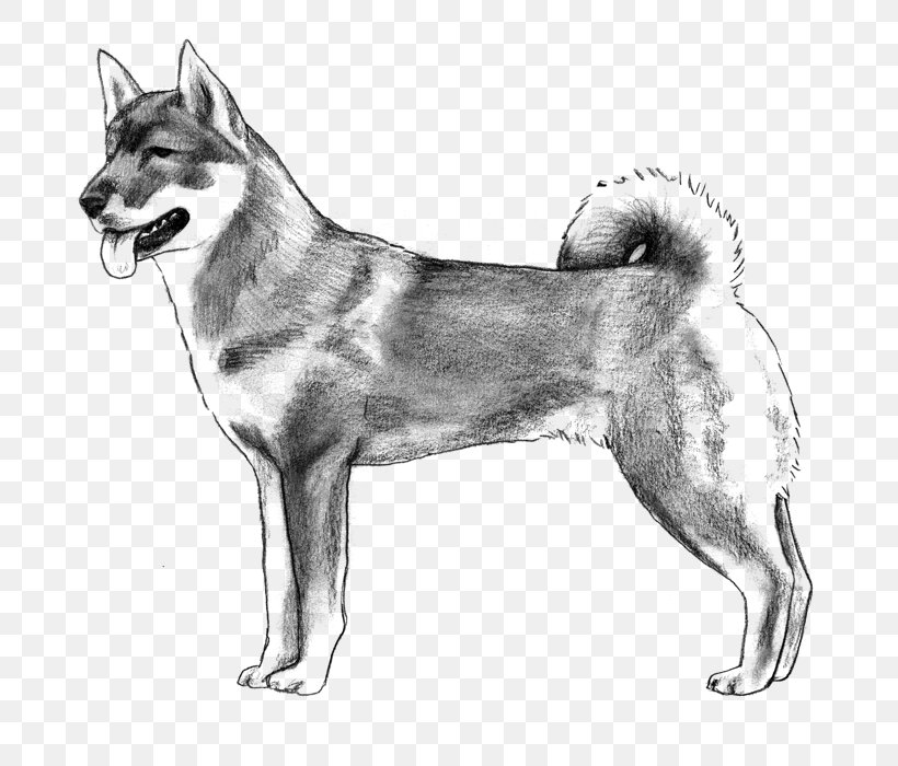 Saarloos Wolfdog Siberian Husky East Siberian Laika West Siberian Laika Canadian Eskimo Dog, PNG, 700x700px, Saarloos Wolfdog, Akita Inu, Alaskan Malamute, Ancient Dog Breeds, Black And White Download Free