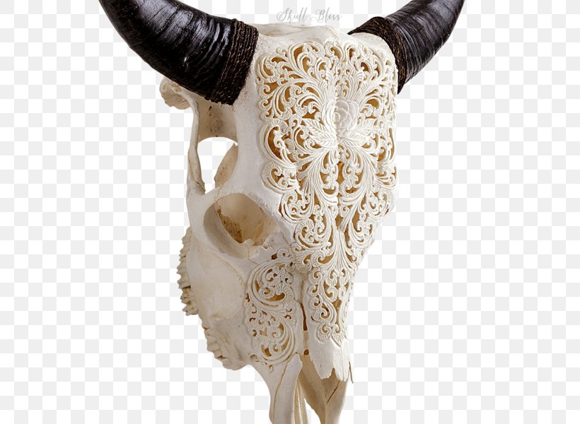Skull Horn Antler Bison Cattle, PNG, 600x600px, Skull, Antler, Barbed Wire, Bison, Bone Download Free
