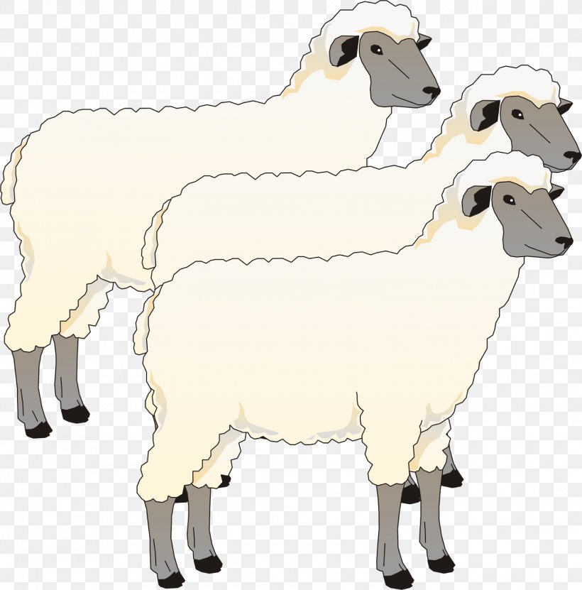 Blackhead Persian Sheep Goat Cotswold Sheep Southdown Sheep Clip Art, PNG, 1577x1600px, Blackhead Persian Sheep, Animal Figure, Cattle Like Mammal, Cotswold Sheep, Cow Goat Family Download Free
