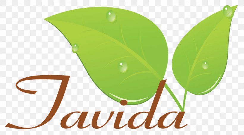 Logo Leaf Product Font Brand, PNG, 1011x560px, Logo, Brand, Green, Leaf, Plant Download Free