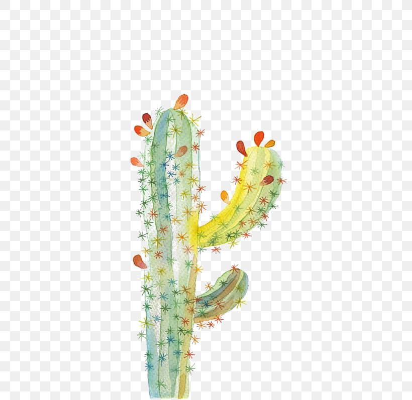 UGallery Cactaceae Drawing Watercolor Painting, PNG, 564x797px, Ugallery, Cactaceae, Cactus, Cartoon, Drawing Download Free
