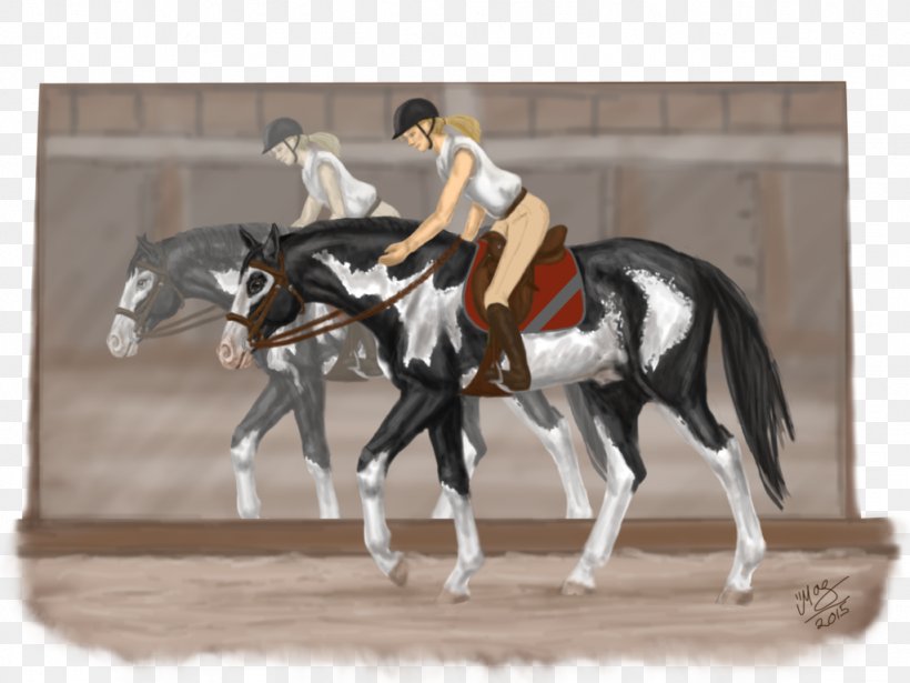 Western Pleasure Stallion Rein Mustang Mare, PNG, 1024x768px, Western Pleasure, Animal Sports, Bridle, Equestrian, Equestrian Sport Download Free