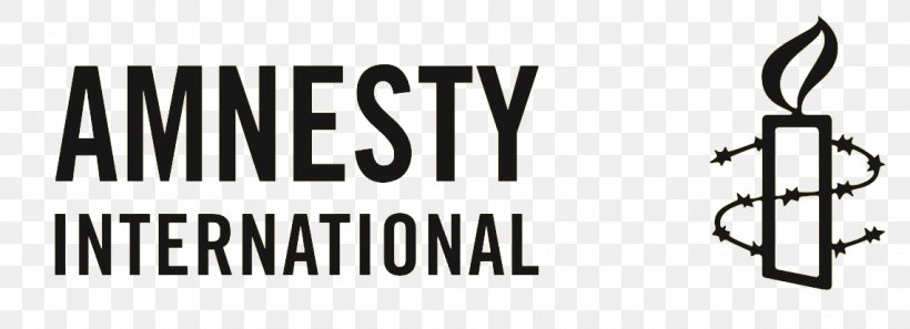 Amnesty International Australia Universal Declaration Of Human Rights Organization, PNG, 1141x414px, Amnesty International, Action Alert, Amnesty International Australia, Amnesty International Ireland, Amnesty International Usa Download Free