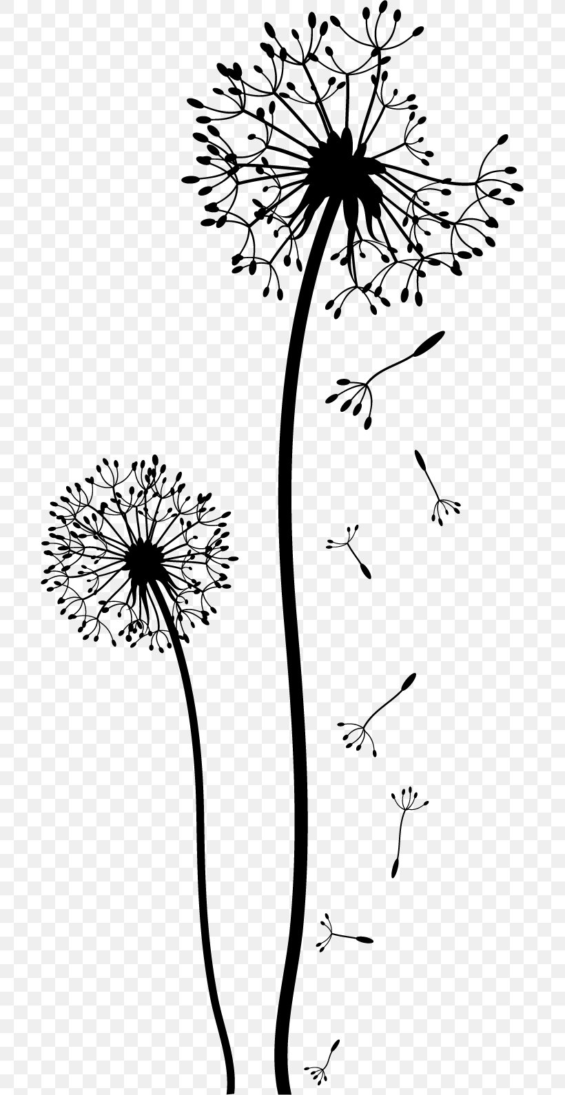 Dandelion Drawing Black And White Clip Art, PNG, 701x1590px, Dandelion, Area, Artwork, Black, Black And White Download Free