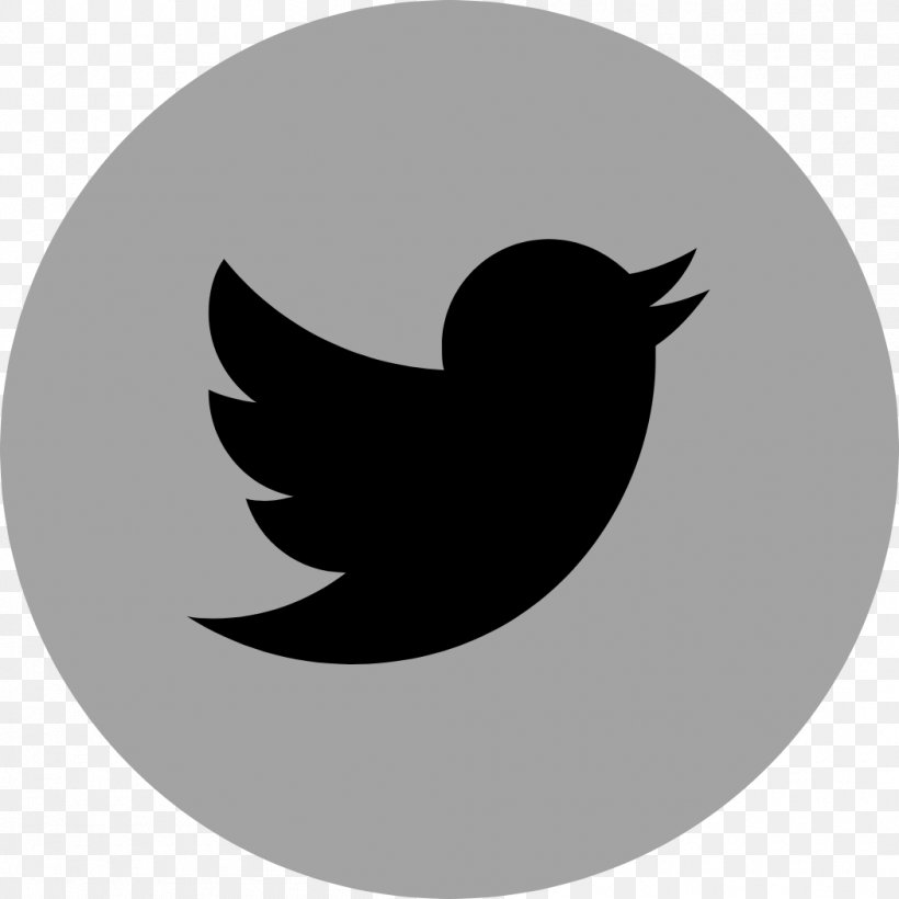 Logo Brand Social Media Marketing Corporate Identity, PNG, 1050x1050px, Logo, Beak, Bird, Black And White, Brand Download Free