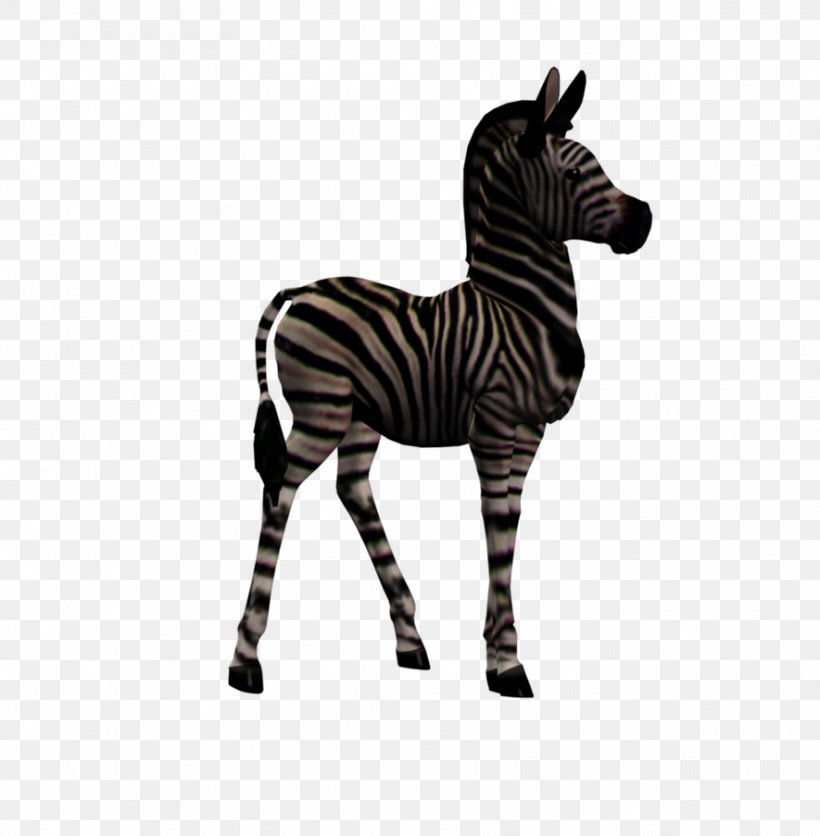 Quagga Foal Zebra, PNG, 885x903px, Quagga, Animal, Animal Figure, Black And White, Com Download Free