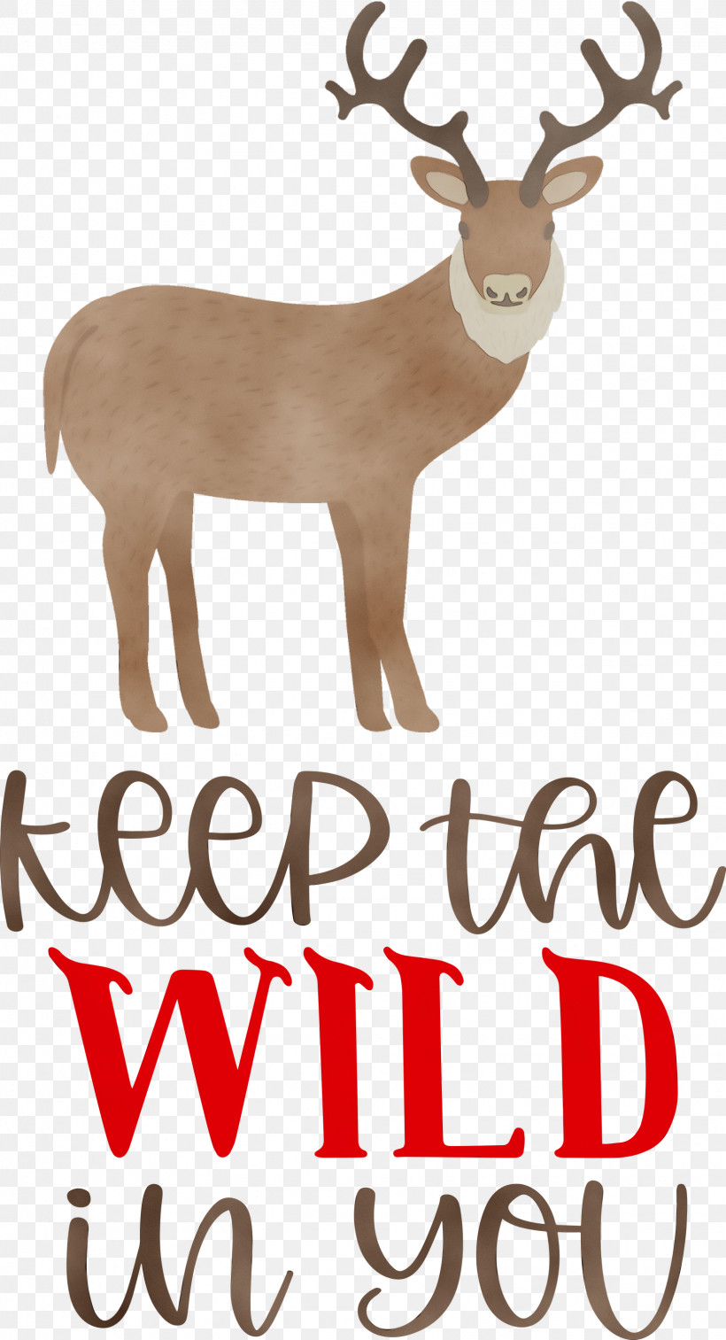 Reindeer, PNG, 1625x2999px, Keep Wild, Biology, Deer, Meter, Paint Download Free