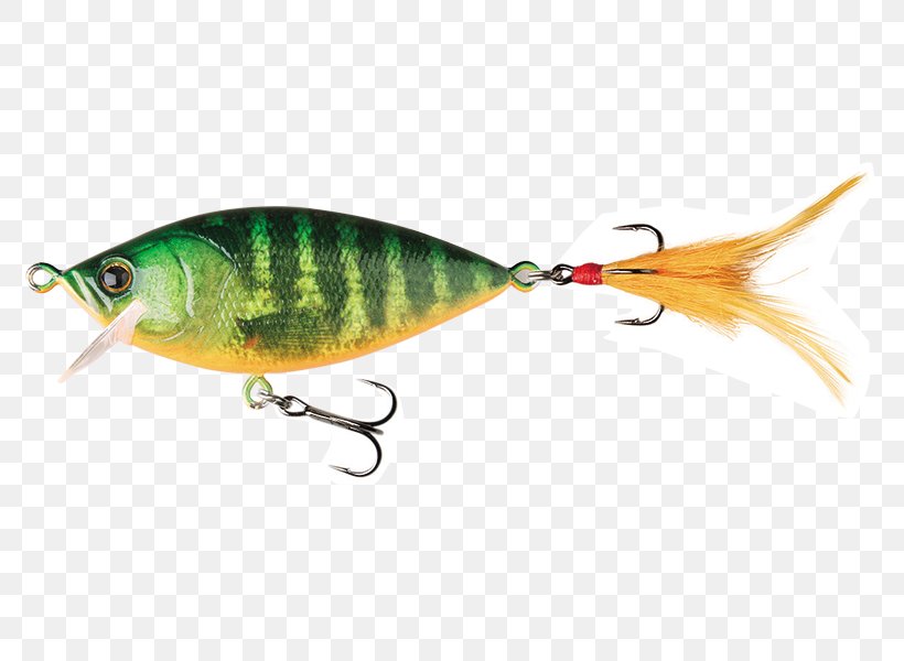 Spoon Lure Perch Fish AC Power Plugs And Sockets, PNG, 800x600px, Spoon Lure, Ac Power Plugs And Sockets, Bait, Fauna, Fish Download Free