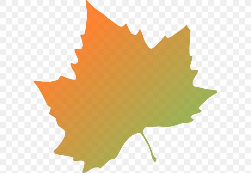 Autumn Leaf Color Clip Art, PNG, 600x566px, Autumn Leaf Color, Autumn, Color, Drawing, Flowering Plant Download Free