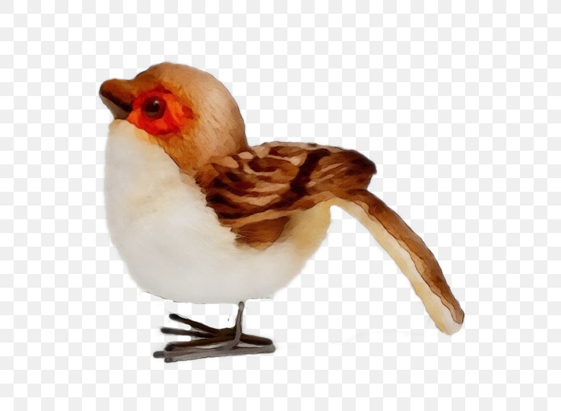 Bird Beak Chicken Rooster, PNG, 600x600px, Watercolor, Beak, Bird, Chicken, Paint Download Free