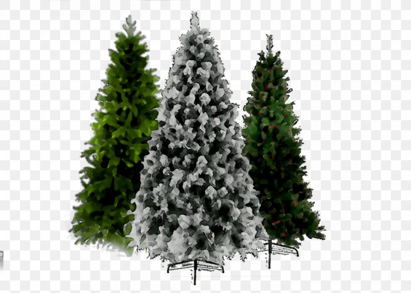Christmas Tree Spruce Christmas Day Christmas Ornament Fir, PNG, 1474x1053px, Christmas Tree, American Larch, Arizona Cypress, Balsam Fir, Biome Download Free