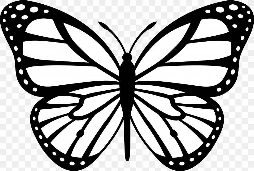 Monarch Butterfly Drawing Clip Art, PNG, 5624x3783px, Butterfly, Artwork, Black And White, Black Butterfly, Brush Footed Butterfly Download Free