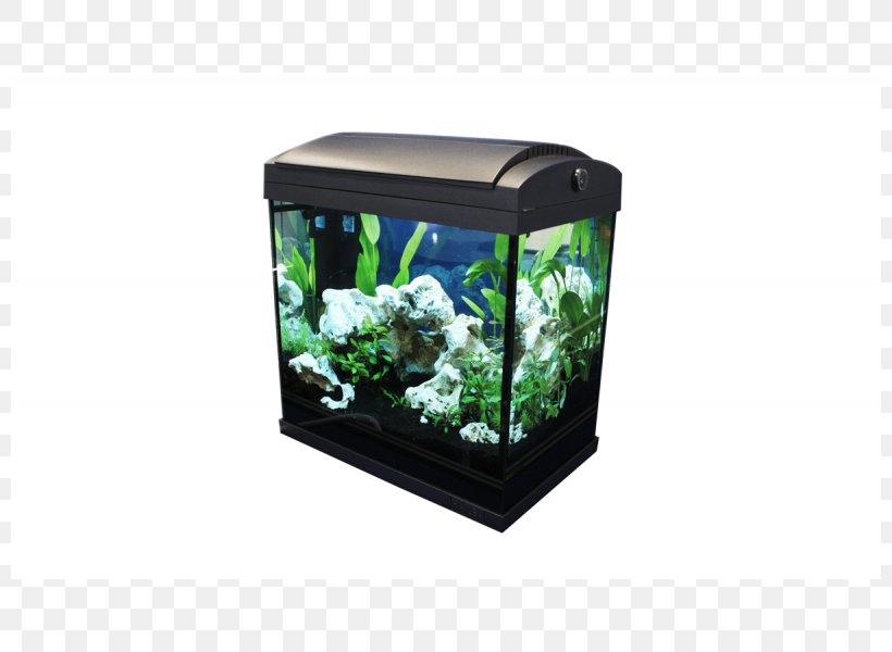 Aquariums Nano Aquarium Dennerle Fish, PNG, 800x600px, Aquarium, Animal, Aquariums, Dennerle, Emag Download Free