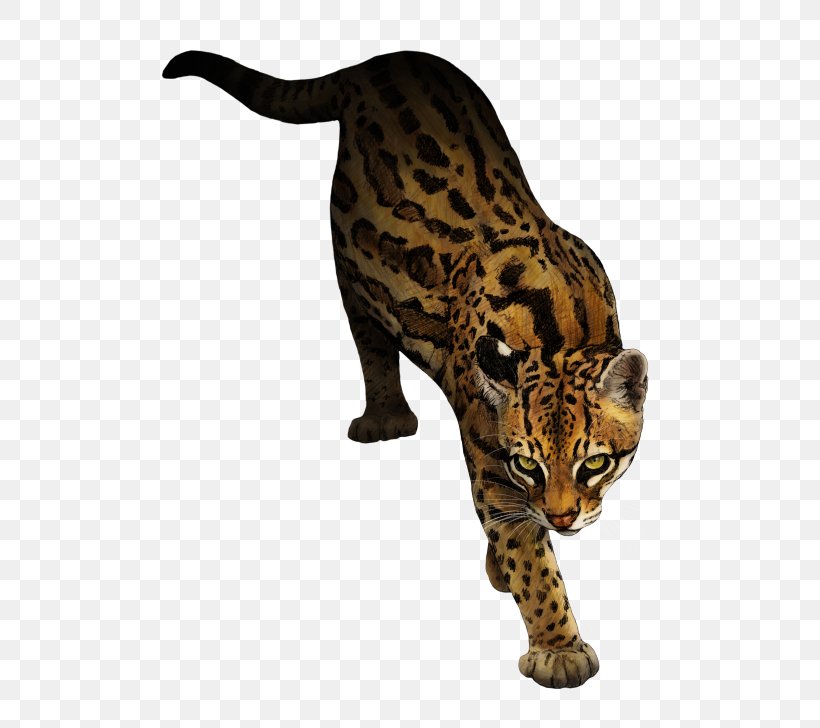 Ocelot Marbled Cat Animal Rottweiler, PNG, 529x728px, Ocelot, Animal, Animal Figure, Art, Bengal Download Free