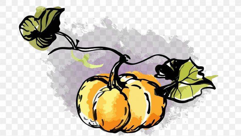 Pumpkin, PNG, 2998x1687px, Cartoon, Cucurbita, Fruit, Herbaceous Plant, Leaf Download Free