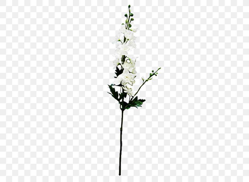 Artificial Flower, PNG, 800x600px, White, Artificial Flower, Cut Flowers, Delphinium, Flower Download Free