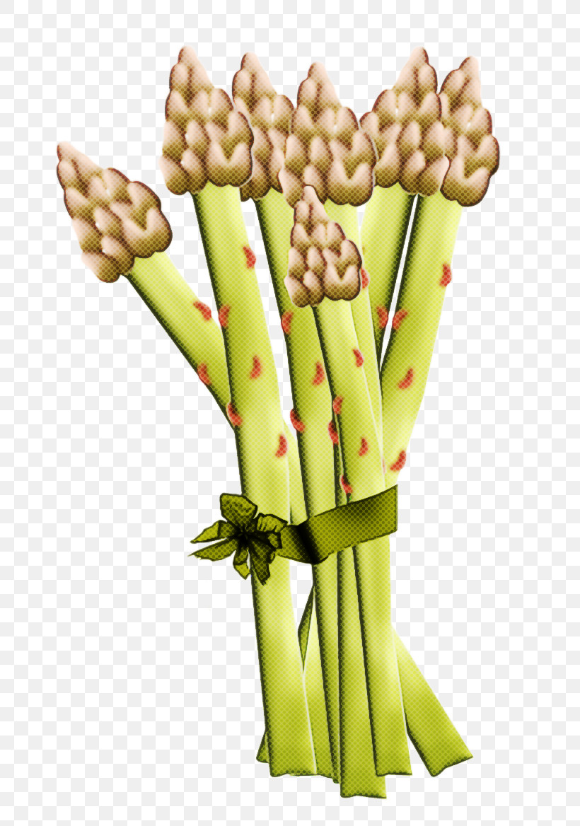 Asparagus Plant Vegetable Grass Plant Stem, PNG, 800x1168px, Asparagus, Cut Flowers, Flower, Food, Grass Download Free