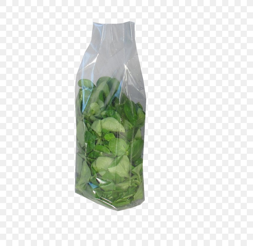 Herb Vegetable Vacuum Packing Liquid, PNG, 625x800px, Herb, Liquid, Packaging And Labeling, Plant, Tuber Download Free