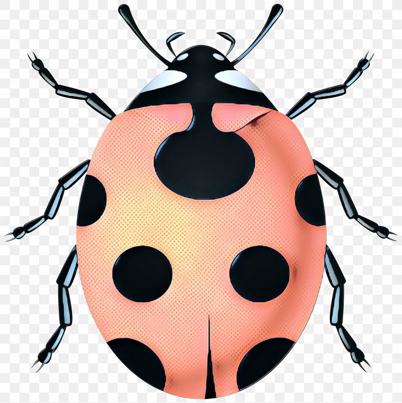 Ladybird Beetle Clip Art Vector Graphics, PNG, 2996x3000px, Beetle, Arthropod, Blister Beetles, Darkling Beetles, Drawing Download Free