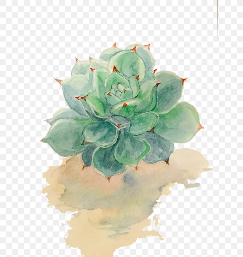 Succulent Plant Watercolor Painting Drawing, PNG, 650x866px, Succulent Plant, Bonsai, Drawing, Floral Design, Flower Download Free
