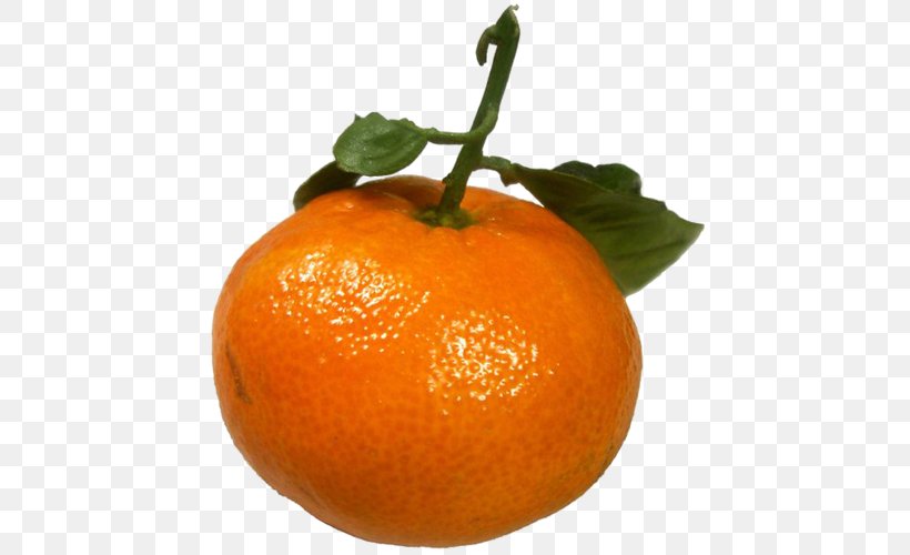 Tangerine Mandarin Orange Food Mandariin, PNG, 500x500px, Tangerine, Bitter Orange, Calorie, Citric Acid, Citrus Download Free
