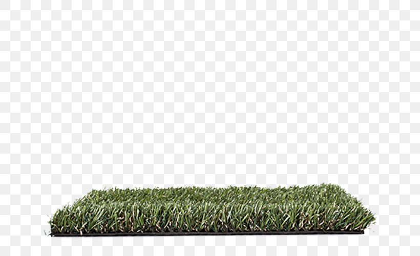 Artificial Turf Lawn Floor Oryzon Genomics Fireproofing, PNG, 686x500px, Artificial Turf, Acacieae, Architectural Engineering, Brochure, Fire Retardant Download Free