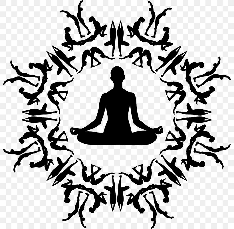 Ashtanga Vinyasa Yoga Asana Hatha Yoga Exercise, PNG, 800x800px, Yoga, Aerial Yoga, Asana, Ashtanga Vinyasa Yoga, Exercise Download Free