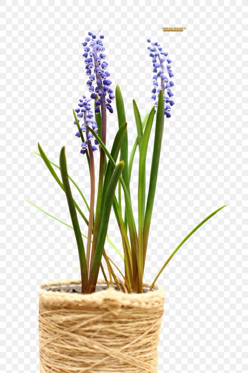 Flowerpot Watering Cans Garden Plant, PNG, 1067x1600px, Flowerpot, Bottle, Commodity, Fertilisers, Flower Download Free