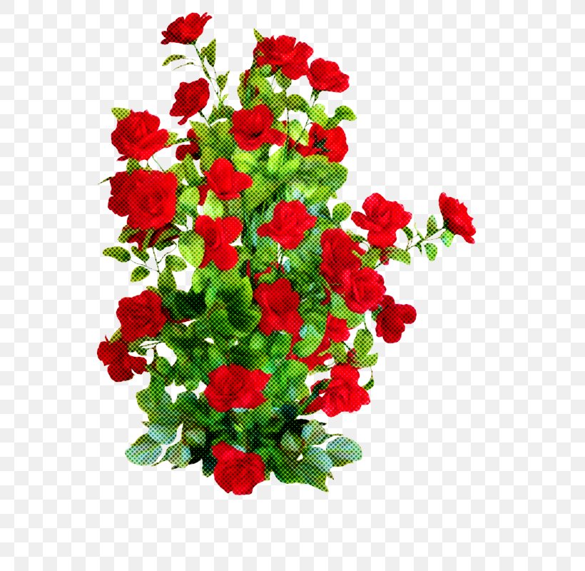 Garden Roses, PNG, 556x800px, Flower, Bouquet, Cut Flowers, Flowering Plant, Garden Roses Download Free