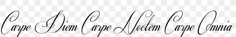Line Angle Font, PNG, 2713x436px, Eyelash, Black And White, Calligraphy, Monochrome, Monochrome Photography Download Free