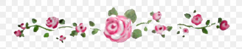 Tulip Rose Vine Flower Floral Design, PNG, 851x173px, Tulip, Art, Floral Design, Flower, Flowering Plant Download Free