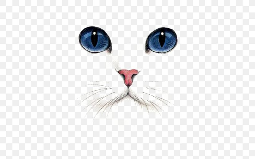 British Shorthair Kitten Dog Tabby Cat, PNG, 510x510px, Watercolor, Cartoon, Flower, Frame, Heart Download Free