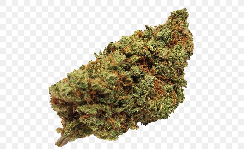 Cannabis Sativa Kush Cannabidiol Medical Cannabis, PNG, 500x500px, Cannabis Sativa, Cannabidiol, Cannabis, Cannabis Shop, Drug Download Free