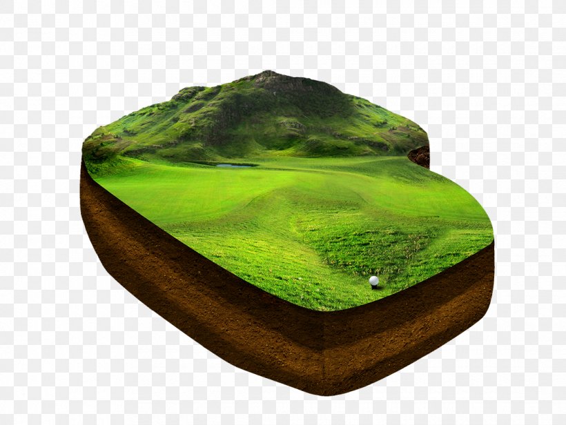 Golf Course Lawn Download, PNG, 1120x842px, Golf, Golf Course, Google Images, Grass, Green Download Free