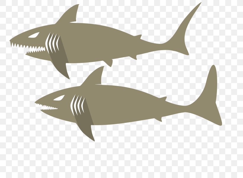 Tiger Shark Squaliform Sharks Requiem Sharks Oceanic Whitetip Shark Cartilaginous Fishes, PNG, 800x600px, Tiger Shark, Blacknose Shark, Carcharhinus Amblyrhynchos, Cartilaginous Fish, Cartilaginous Fishes Download Free