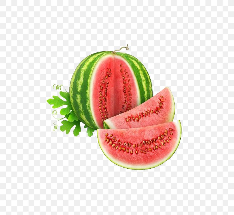 Watermelon Cantaloupe Meat Slicer Honeydew, PNG, 613x752px, Melon, Apple Corer, Blade, Cantaloupe, Citrullus Download Free