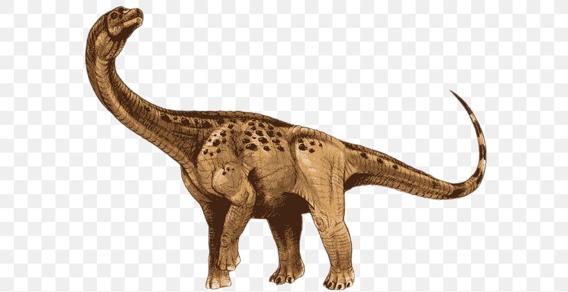 Antarctosaurus Apatosaurus Jainosaurus Argentinosaurus Stegosaurus, PNG, 600x421px, Antarctosaurus, Aeolosaurus, Animal Figure, Apatosaurus, Argentinosaurus Download Free
