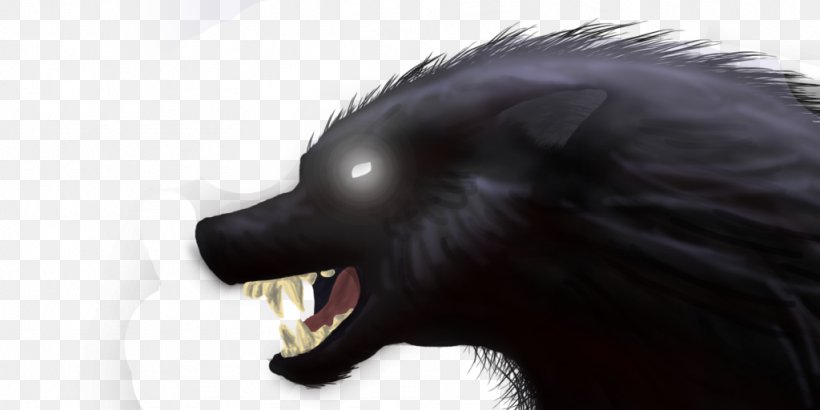 Black Wolf Snout Dog Fur DeviantArt, PNG, 1024x512px, Black Wolf, Animal, Art, Canidae, Close Up Download Free