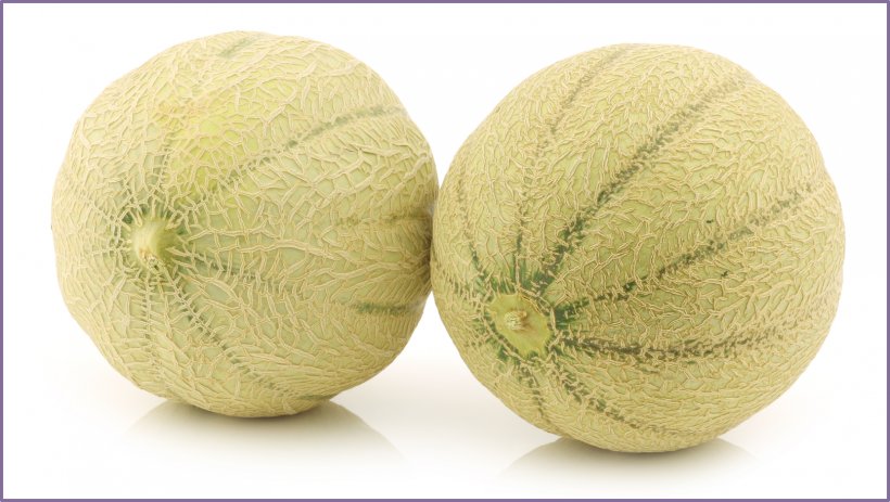 Cantaloupe Melon Stock Photography Royalty-free, PNG, 1662x940px, Cantaloupe, Apple, Banco De Imagens, Can Stock Photo, Cucumber Gourd And Melon Family Download Free