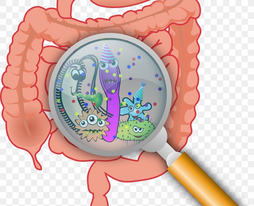 Gut Flora Gastrointestinal Tract Health Microbiota Leaky Gut Syndrome, PNG, 1483x1203px, Watercolor, Cartoon, Flower, Frame, Heart Download Free