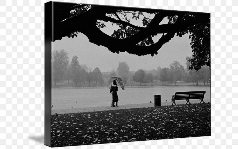 Hyde Park Imagekind Photography Aldo, PNG, 650x515px, Hyde Park, Aldo, Art, Black, Black And White Download Free