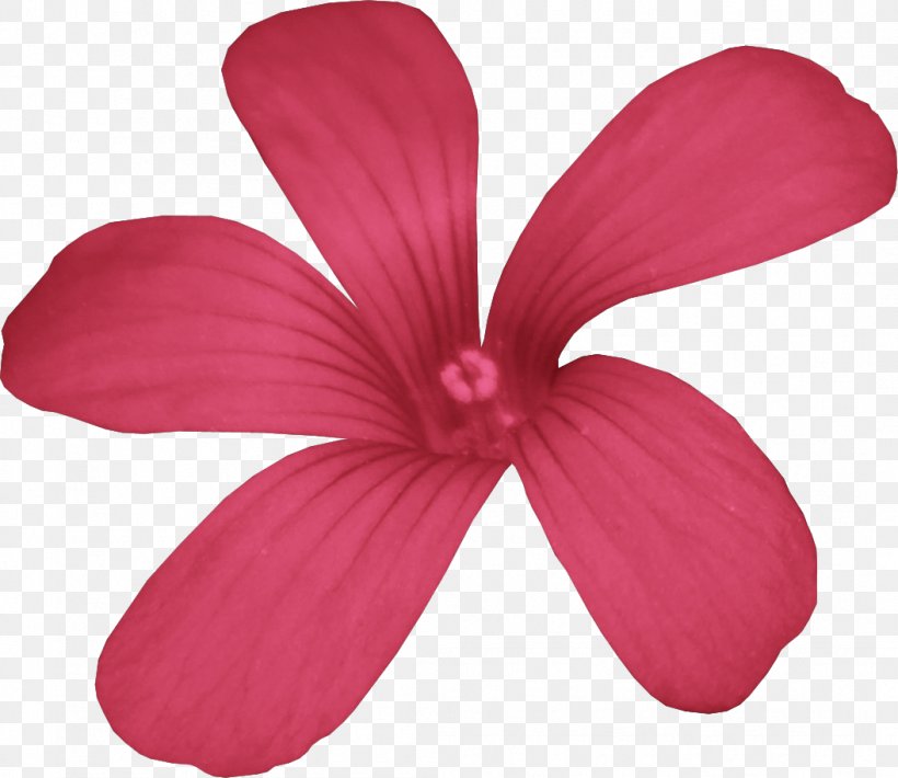 Rosemallows Pink M Petal, PNG, 1055x914px, Rosemallows, Flower, Flowering Plant, Hibiscus, Magenta Download Free