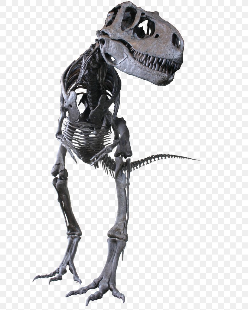 Albertosaurus Gorgosaurus Tyrannosaurus Troodon Late Cretaceous, PNG, 608x1023px, Albertosaurus, Action Figure, Daspletosaurus, Dinosaur, Dromaeosauridae Download Free