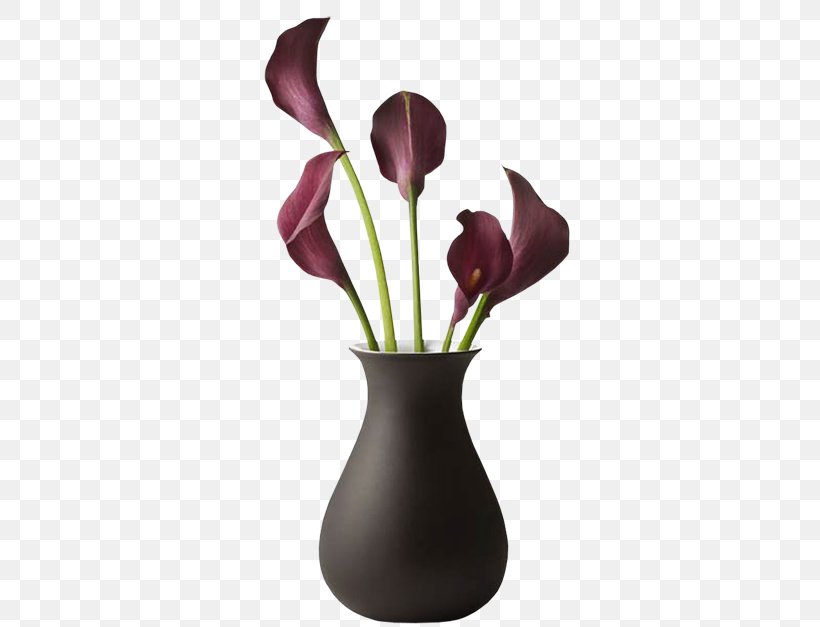 Cut Flowers Vase Television Blume, PNG, 450x627px, Cut Flowers, Arruga, Blume, Dark Cherry, Flower Download Free