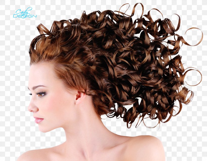 Hair Iron Hairstyle Updo Fashion, PNG, 2053x1595px, Hair Iron, Beard, Beauty Parlour, Box Braids, Braid Download Free