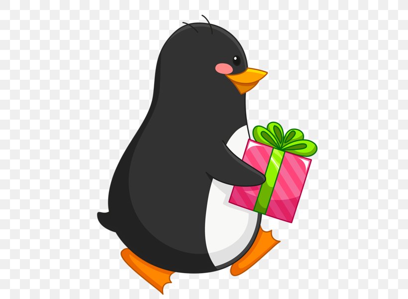 Penguin Bird Desktop Wallpaper Clip Art, PNG, 500x600px, Penguin, Beak, Bird, Christmas, Christmas Gift Download Free