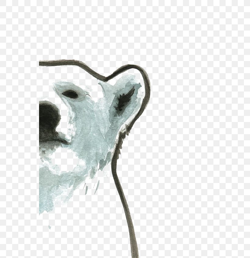 Polar Bear Drawing Illustration, PNG, 564x846px, Watercolor, Cartoon, Flower, Frame, Heart Download Free