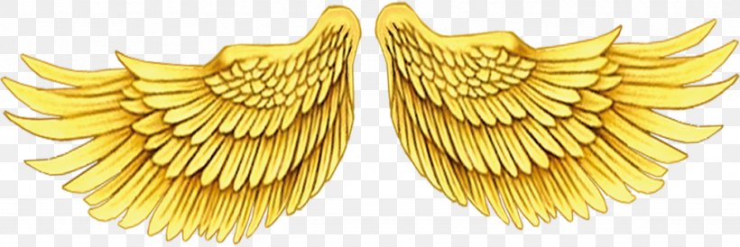 Wing Gold, PNG, 974x326px, Wing, Gold, Jewellery, Material, Rgb Color Model Download Free